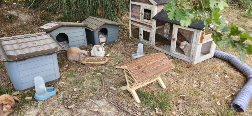 Image #2 d'illustration de l'association