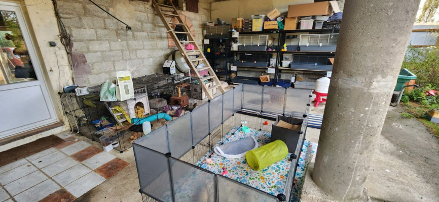 Image #6 d'illustration de l'association