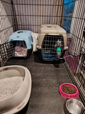 Image #5 d'illustration de l'association