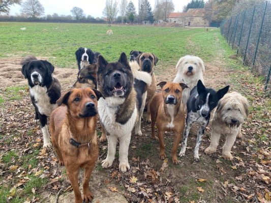 Image #0 d'illustration de l'association