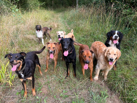 Image #1 d'illustration de l'association