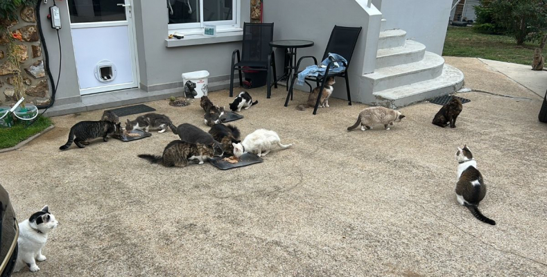 Image #0 d'illustration de l'association