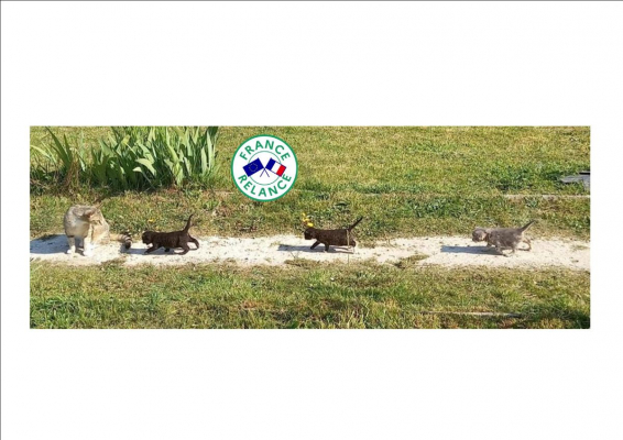 Image #0 d'illustration de l'association