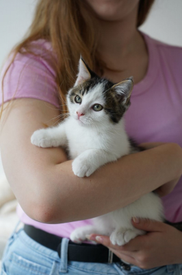 Image #1 d'illustration de l'association