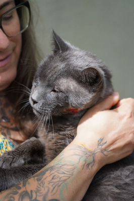 Image #2 d'illustration de l'association