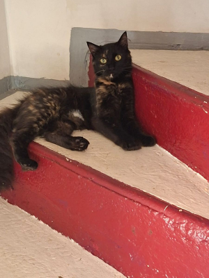 Image #0 d'illustration de l'association