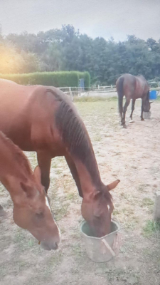 Image #0 d'illustration de l'association