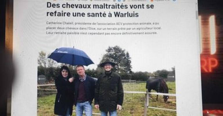 Image #1 d'illustration de l'association