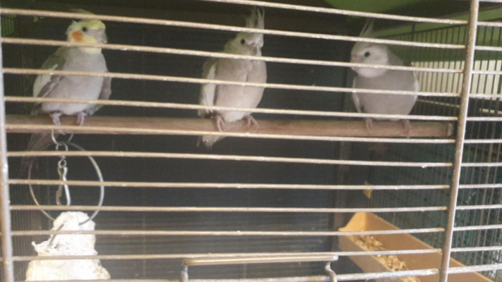 Image #2 d'illustration de l'association