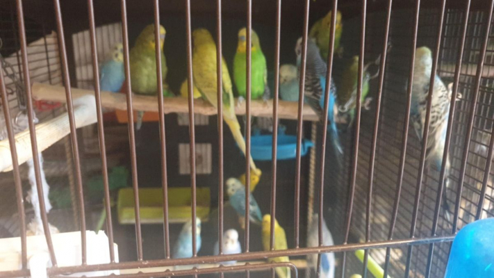 Image #4 d'illustration de l'association