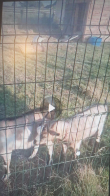 Image #5 d'illustration de l'association