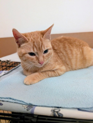 Image #0 d'illustration de l'association