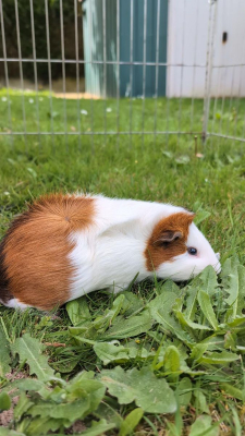 Image #2 d'illustration de l'association