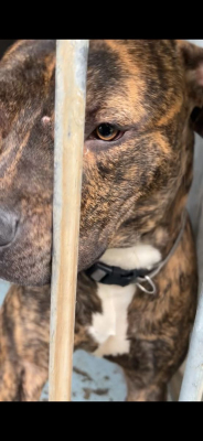 Image #0 d'illustration de l'association