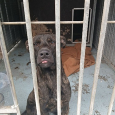 Image #1 d'illustration de l'association