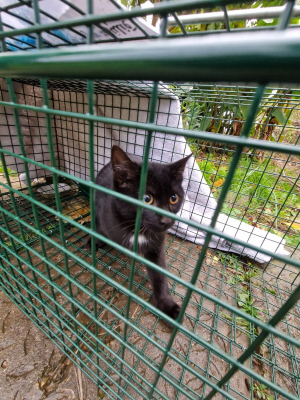 Image #3 d'illustration de l'association