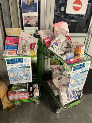 Image #1 d'illustration de l'association