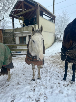 Image #1 d'illustration de l'association