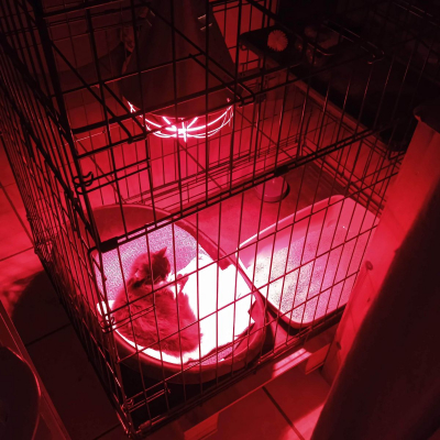 Image #0 d'illustration de l'association