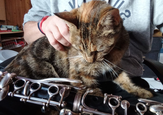 Image #1 d'illustration de l'association