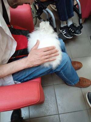 Image #2 d'illustration de l'association