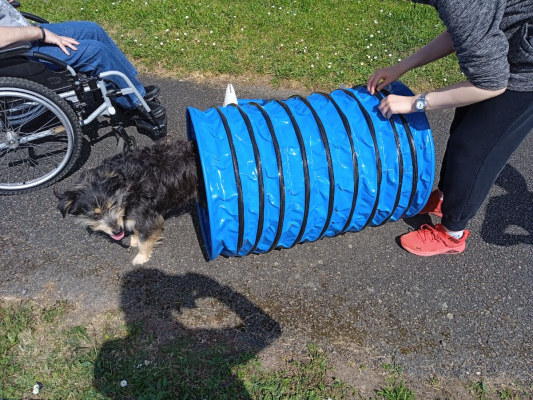 Image #3 d'illustration de l'association