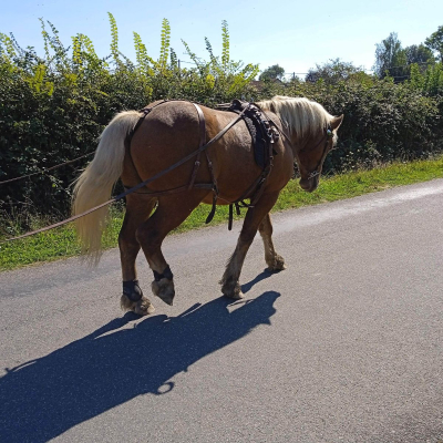 Image #6 d'illustration de l'association