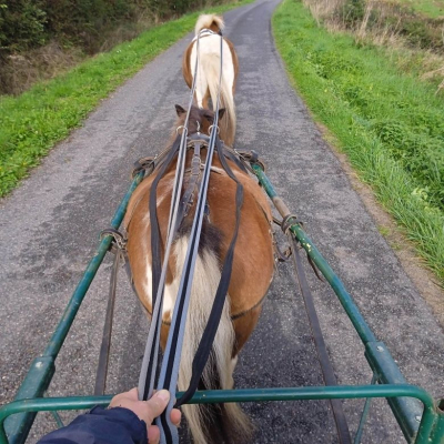 Image #8 d'illustration de l'association