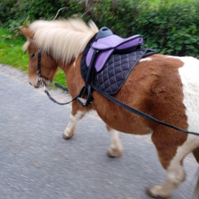 Image #9 d'illustration de l'association