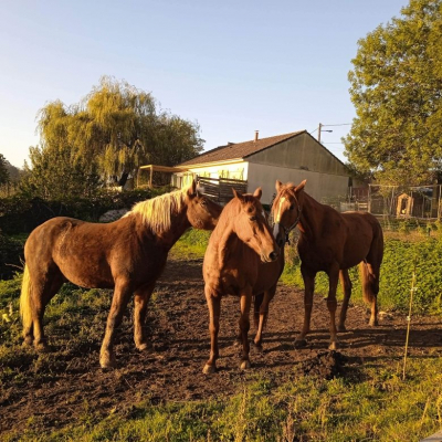 Image #10 d'illustration de l'association