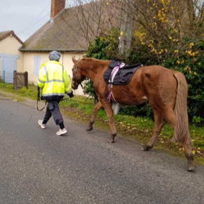 Image #11 d'illustration de l'association