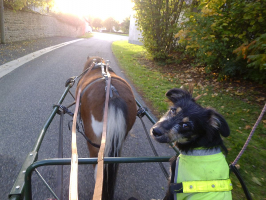 Image #14 d'illustration de l'association