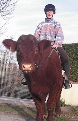 Image #15 d'illustration de l'association