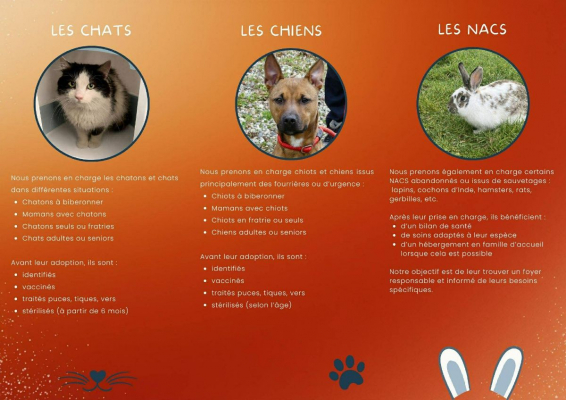 Image #0 d'illustration de l'association