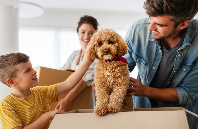 Comment préparer l'arrivée de son nouvel animal de compagnie ?