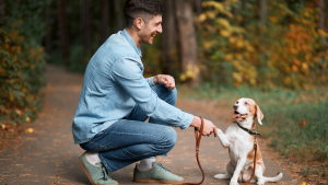 Illustration : "Comment réussir la première rencontre avec un animal de compagnie ?"