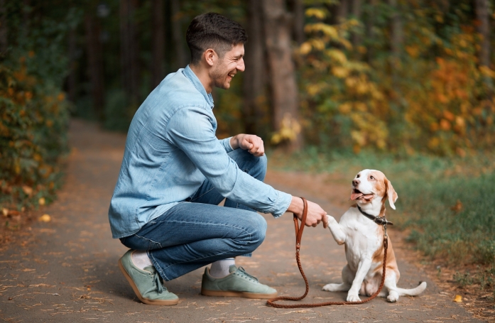 Comment réussir la première rencontre avec un animal de compagnie ?