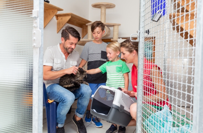 Quelles questions poser aux bénévoles d'un refuge pour réussir une adoption ?