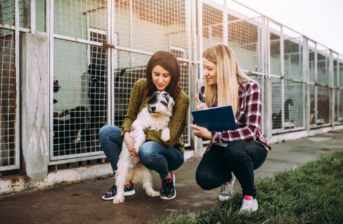 Une association ou un refuge pour animaux peut-il s'opposer à une adoption ?