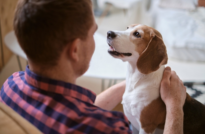 Comment adopter un animal de laboratoire ?