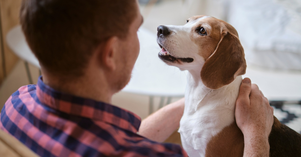 Adopter un animal de laboratoire nos conseils pour l’accueillir et en prendre soin