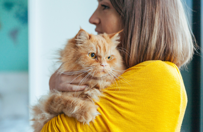 Pourquoi l'adoption d'un animal de compagnie est-elle payante ?