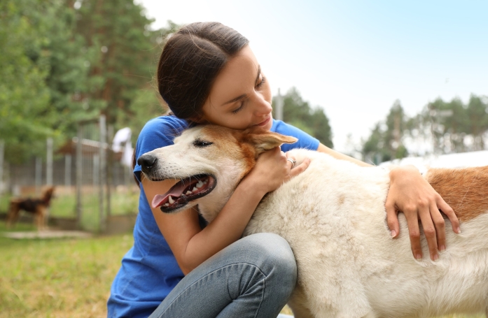 Quels sont les documents à fournir et les démarches à suivre pour adopter un animal de compagnie ?