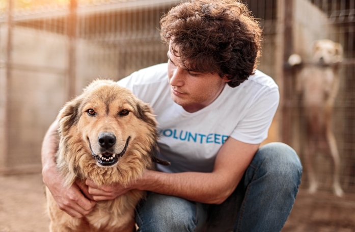 Comment aider les associations et les refuges pour animaux ?