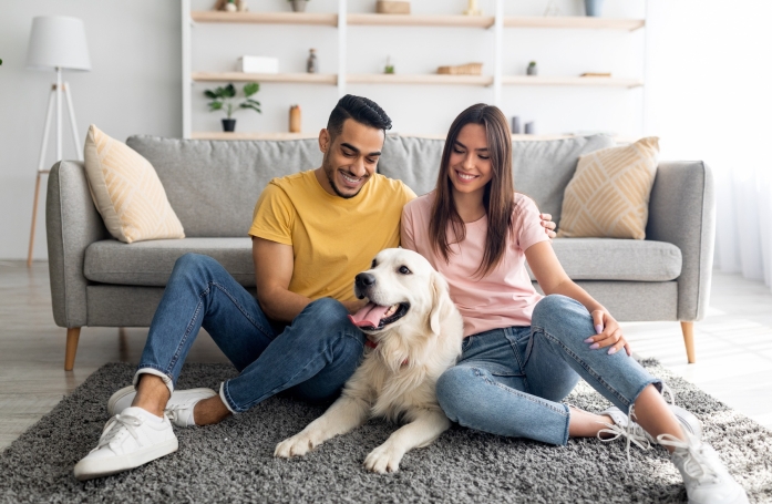Qu’est-ce qu’une famille d’accueil pour animaux ?