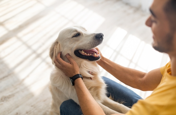 Quelles sont les questions à poser à un éleveur de chiens ou de chats ?