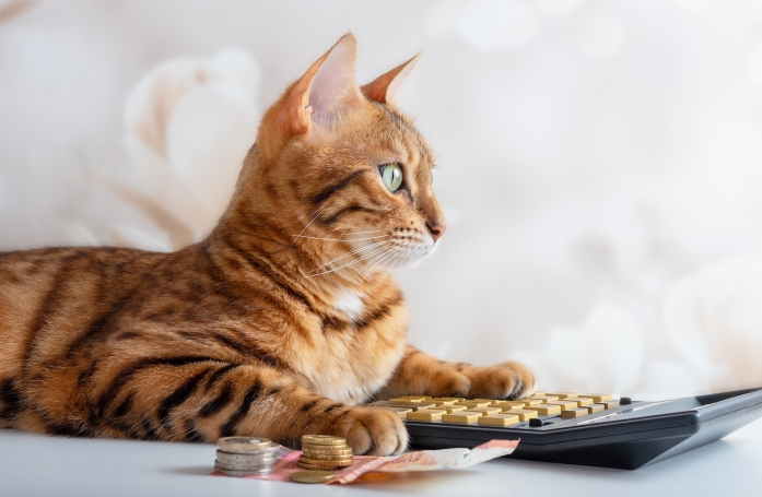 Un particulier peut-il vendre un animal de compagnie ?