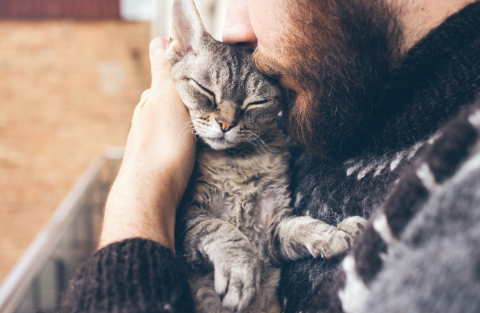 Quelle est la réglementation pour l'achat d'un animal de compagnie ?