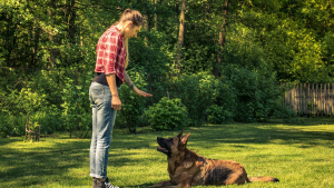 Illustration : "Comment choisir un éducateur canin ou un comportementaliste félin ?"