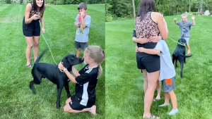 Illustration : "Pour annoncer l’adoption d’un chien à ses enfants, un couple utilise un stratagème original (vidéo)"